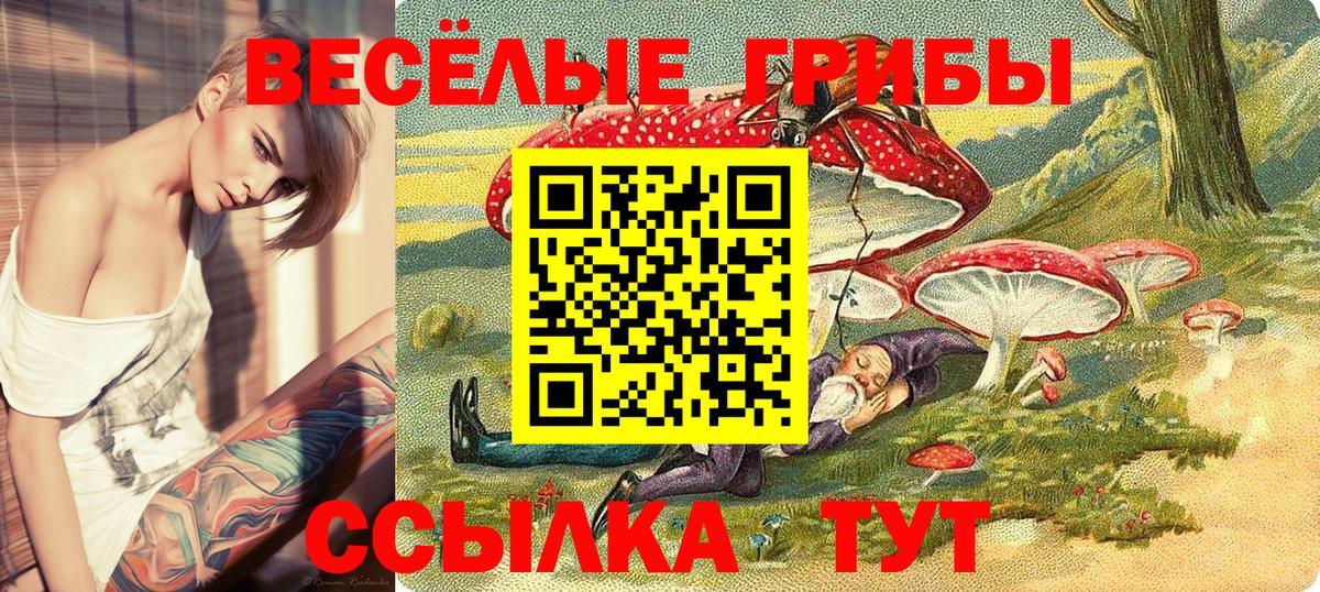 Дивногорск  Галлюциногенные грибы ЛСД  Псилоцибиновые грибы Cubensis  Вход с VPN 