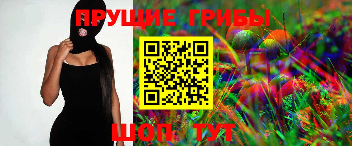 купить  сайты  Дивногорск  Галлюциногенные грибы мицелий  Галлюциногенные грибы GOLDEN TEACHER 
