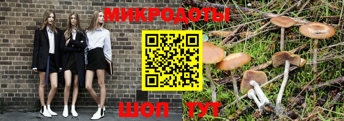 Псилоцибиновые грибы Psilocybine cubensis Дивногорск